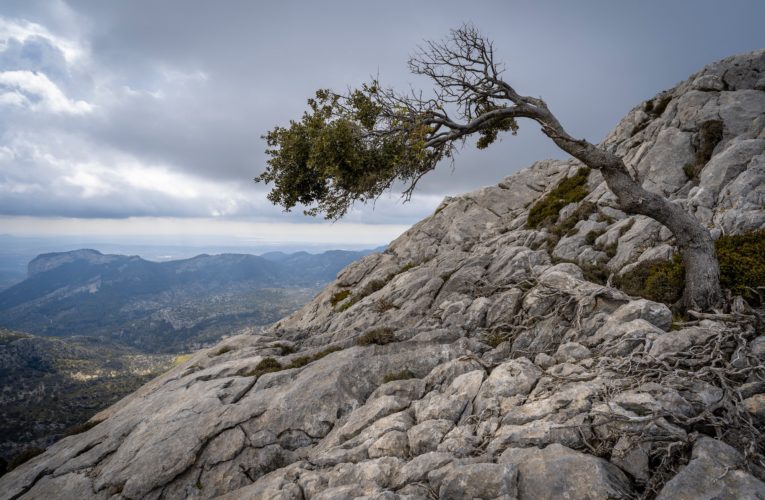 Wichita Falls: The Importance of Resilience in Overcoming Trauma